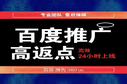 案例解读：SEO与SEM优化助力电商崛起